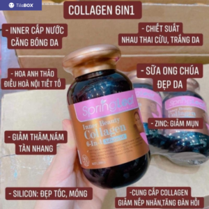 vien uong collagen 6 in 1 3