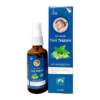 Xịt Muỗi Từ Thiên Nhiên Tân Thành - Pháp Effiel - Ảnh 3