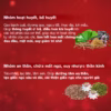 Hoạt Huyết Minh Não Khang - Dân Khang - Ảnh 4
