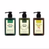 [Combo] 2 Chai Tắm Gội Thảo Mộc Baby Premium 150Ml - Chava Natural Beauty - Ảnh 4