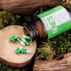 Set 1 Hộp Kem Dưỡng Da Dna Hồng Yến - Phục Hồi, Cấp Ẩm, Trắng Hồng & Mịn Màng + 1 Hộp Viên Uống Trắng Da Nine’S Beauty - Phan An Green - Ảnh 6
