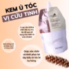 Hấp Dầu Phục Hồi Tóc Hư Tổn Karseell 500Ml - Gdn - Ảnh 4