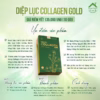 Diệp Lục Collagen Gold Chính Hãng Green Giảm Mụn Nám Tàn Nhang, Hổ Trợ Trắng Da Mịn Hộp 30 Gói - Gdn - Ảnh 2