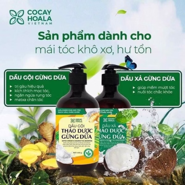 Cặp Dầu Gội Xả Thảo Dược Gừng Dừa Cỏ Cây Hoa Lá 440G X2