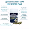 Viên Uống Tinh Chất Hàu Úc Tăng Cường Sinh Lý Nam - Goodhealth - Ảnh 2