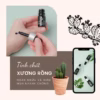 Serum Mụn Xương Rồng Không Bong, Không Sưng 5Ml - Mộc Thiên Hương - Ảnh 15