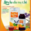 Siro An Phế Thang Hỗ Trợ Giảm Tăng Tiết Đờm Ho Nhiều Đau Rát Họng Khản Tiếng Do Viêm Họng Chai 100Ml - Ảnh 2