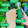 Serum Trắng Da B5 Lục Tảo - Yskin - Ảnh 5