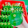 Kem Body Collagen X5 - Yskin - Ảnh 4