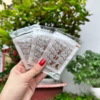 [Combo 10 Hộp] 50 Miếng Dán Thải Độc Bàn Chân Ngải Cứu - Gdn - Ảnh 4