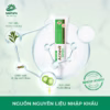 Kem Giảm Mụn Mủ, Mụn Bọc, Mụn Trứng Cá Acnevir Santafa Thành Phần Thiên Nhiên Tuýp 10Gr - Santafa - Ảnh 6