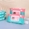 Khăn Ướt Cho Bé Runbeimian 80 Tờ 70261 - Lady'S Passion - Ảnh 8