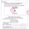 Tinh Dầu Tràm 100% Thiên Nhiên -Thảo Mộc Xanh - Ảnh 3