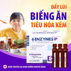 Men Tiêu Hóa - 6 Enzymes Ip