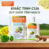 Kem Hỗ Trợ Giảm Giản Tĩnh Mạch Thảo Dược Giúp Lưu Thông Tĩnh Mạch, Giảm Sưng Mạch Máu Tay Chân Chai 60Ml - Ảnh 2