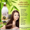 Combo Gội Xả Dưỡng Sinh Tặng Serum Giảm Rụng Tóc Inoca Renoskin - Ảnh 4