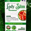 Viên Uống Hổ Trợ Giảm Cân, Giảm Mỡ Trong Máu Lady Slim Hộp 30 Viên - Dược Phẩm Aviphar - Ảnh 5