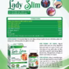 Viên Uống Hổ Trợ Giảm Cân, Giảm Mỡ Trong Máu Lady Slim Hộp 30 Viên - Dược Phẩm Aviphar - Ảnh 3