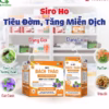 Siro Ho Bách Thảo Chiết Xuất Từ Cao Thường Xuân Giúp Giảm Ho, Tiêu Đờm - Dược Phẩm Aviphar - Ảnh 3