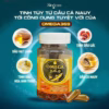 Combo 5 Hộp Viên Uông Omega 3, 6, 9 Bổ Não, Tăng Trí Nhớ, Sáng Mắt - Singcare - Ảnh 3