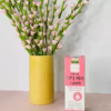 Combo 5 Chai Bọt Vệ Sinh Ph Care Premium Giúp Khử Mùi, Giảm Ngứa, Chống Viêm 100Ml - Dược Phẩm Aviphar - Ảnh 4