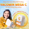 [Hộp 60V] Viên Uống Bổ Sung Vitamin C, Hỗ Trợ Tăng Đề Kháng, Hấp Thu Sắt, Năng Lượng, Đẹp Da Vacomin Mega C - Ginseng House - Ảnh 5