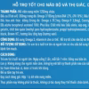 Thực Phẩm Bảo Vệ Sức Khỏe Nin Omega-3 100 Viên Nang Giúp Bổ Sung Omega - 3 Tốt Cho Não Bộ Và Thị Lực - Ảnh 4