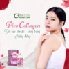 [Mua 1 Tặng 1] Viên Uống Hỗ Trợ Phục Hồi Làn Da Pico Collagen - Hộp 180 Viên - Genki Fami - Ảnh 3