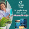 Viên Uống Tăng Đề Kháng Và Hỗ Trợ Điều Trị Ung Thư Fucoidan - Genki Fami - Ảnh 3
