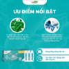 [Combo 2] Men Vi Sinh 3 Tỷ Lợi Khuẩn Và Kẽm - Fitolabs Bacipro - Ảnh 3
