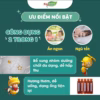 Siro Ăn Ngủ Ngon Tốt Cho Bé Jolli Baby Gold - Ảnh 4