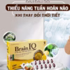Combo 3 Hộp Viên Uống Hổ Trợ Tăng Cường Tuần Hoàn Não Brain Iq - Singcare - Ảnh 3