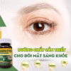 Combo 10 Hộp Viên Uống Bổ Sung Dưỡng Chất Cho Não Và Mắt,Cải Thiện Thị Lực,Tăng Cường Tuần Hoàn Não Brain Eyes 60 Viên - Singcare - Ảnh 9