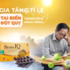 Viên Uống Hổ Trợ Tăng Cường Tuần Hoàn Não Brain Iq 30 Viên - Singcare - Ảnh 10