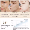 Kem Melanin Dr.Dmy 20G Xóa Tàn Nhang Làm Trắng Da Đốm Đen Giữ Ẩm - Gdn - Ảnh 3