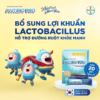 [Bayer] Thực Phẩm Bảo Vệ Sức Khỏe Antibio Pro Hỗ Trợ Bổ Sung Lợi Khuẩn, Cân Bằng Hệ Vi Sinh Hộp 20 Gói X 1G - Ảnh 3