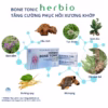 Viên Uống Herbio Bone Tonic - Hỗ Trợ Xương Khớp - Herbio - Ảnh 4