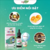 [Combo 2] Dha Nhỏ Giọt Thông Minh, Sáng Mắt - Fitolabs Dha-Epa With Vitamin A,E Lọ 20Ml - Ảnh 5
