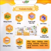 Siro Ho Thảo Dược Coflex - 20 Gói - Ảnh 4