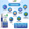 Siro Ho Thảo Dược Coflex - Lọ 120Ml - Ảnh 4