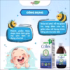 Siro Ho Thảo Dược Coflex - Lọ 120Ml - Ảnh 5