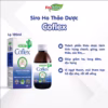 Siro Ho Thảo Dược Coflex - Lọ 120Ml - Ảnh 2