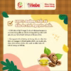 [Combo 2 Tặng Olive] Dầu Chiên Xào - Dầu Óc Chó 150Ml Hebe - Ảnh 4