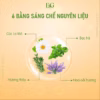 [Chai 100Ml] Tinh Chất Hồi Phục Tế Bào Revitalizing Essence - E&G Beauty - Ảnh 9