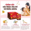 Nước Hồng Sâm Lê Hoa Chuông Lusol Cho Bé Từ 12 Tháng Tuổi - Ảnh 3