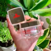 Kem Dưỡng Da Ban Đêm [30G] - Ảnh 6