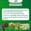 Siro Thanh Nhiệt Mát Gan Elgisboliv-Kid - Ảnh 6