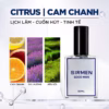 [1 Chai - 50Ml] Nước Hoa Nam Sirmen Good Man Eau De Parfum Châu Âu Europe Gentlemen Cao Cấp Chai 50Ml Thơm Lịch Lãm Cuốn Hút - Ảnh 3