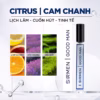 [1 Chai - 10Ml] Nước Hoa Nam Sirmen Good Man Eau De Parfum Châu Âu Europe Gentlemen Cao Cấp Chai 10Ml Thơm Lịch Lãm Cuốn Hút - Ảnh 3