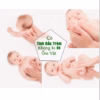 Tinh Dầu Tràm Bé Thơ Chăm Sóc Sức Khỏe Cho Cả Gia Đình, 50Ml, 100Ml ( Có Tem Chống Giả Của Công Ty ), Ctb833 - Bechip - Ảnh 5